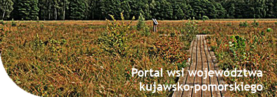 Aktywnawieś: rękodzieło,twórcy ludowi,agroturystyka,kujawsko-pomorska wieś