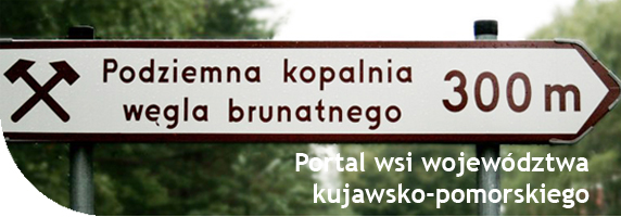 Aktywnawieś: rękodzieło,twórcy ludowi,agroturystyka,kujawsko-pomorska wieś