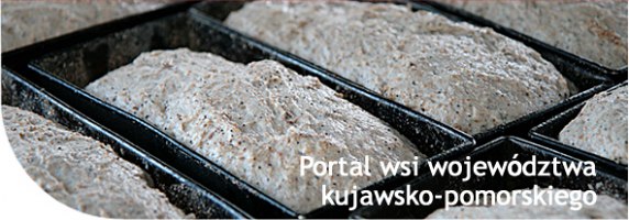 Aktywnawieś: rękodzieło,twórcy ludowi,agroturystyka,kujawsko-pomorska wieś